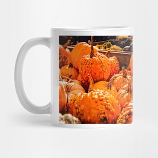 Fall Pumpkins 1 Mug